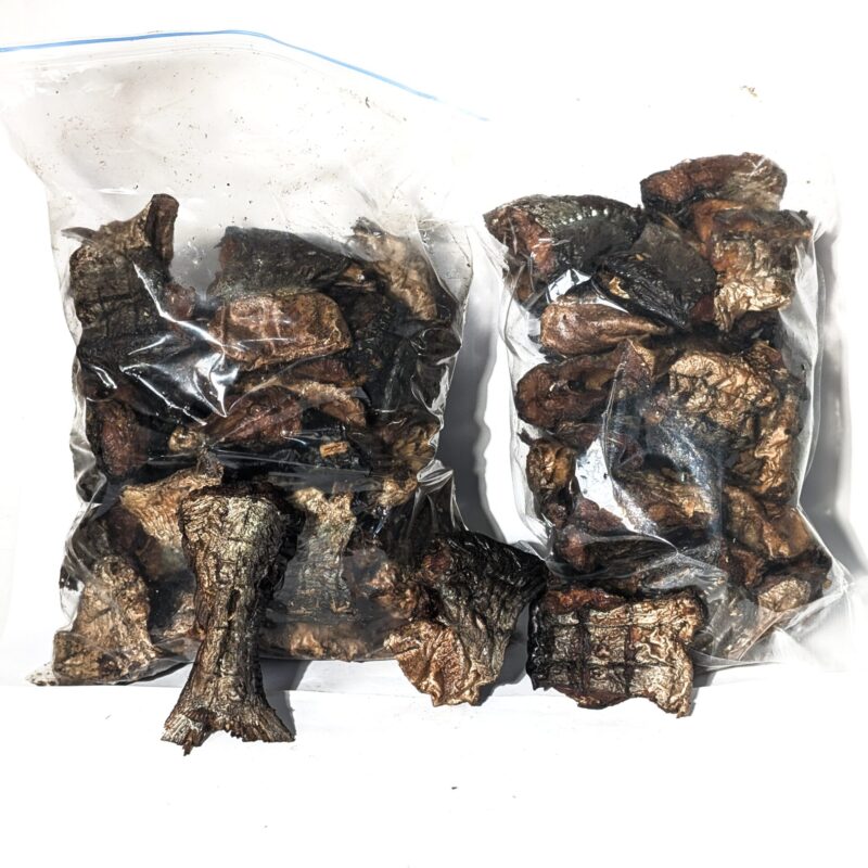 thailand cut cut mangala fish